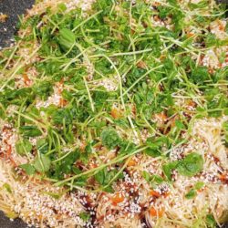 GROUND TURKEY VERMICELLI NOODLES